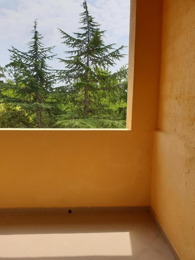 Парк-Отель Олимп Pizunda Extérieur photo